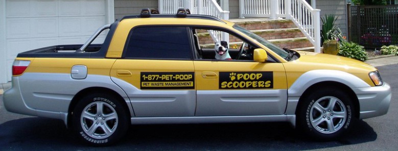 poop clean up service